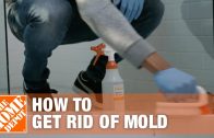 How to Get Rid of Mold | The Home Depot